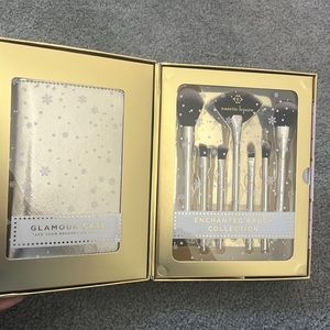 Brand new makeup brushes and case